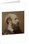 Portrait of Pierre-Jules Hetzel, c. 1875 by Anonymous