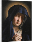 Madonna Orante by Anonymous