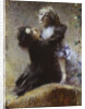 Ivy, 1878 by Anonymous