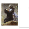 Ivy, 1878 by Anonymous