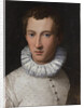 Portrait of a young man , 1565-1569 by Anonymous