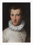 Portrait of a young man , 1565-1569 by Anonymous
