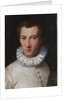 Portrait of a young man , 1565-1569 by Anonymous