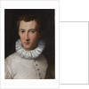 Portrait of a young man , 1565-1569 by Anonymous