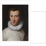 Portrait of a young man , 1565-1569 by Anonymous
