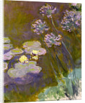 Water Lilies and Agapanthus, 1914-1917 by Anonymous