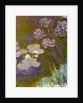Water Lilies and Agapanthus, 1914-1917 by Anonymous