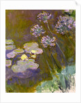 Water Lilies and Agapanthus, 1914-1917 by Anonymous