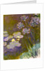 Water Lilies and Agapanthus, 1914-1917 by Anonymous