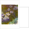Water Lilies and Agapanthus, 1914-1917 by Anonymous
