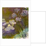 Water Lilies and Agapanthus, 1914-1917 by Anonymous