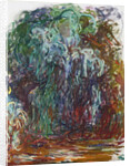 Weeping willow, 1921-1922 by Anonymous
