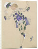 Costume design for the ballet Sleeping Beauty by P. Tchaikovsky, 1921 by Anonymous