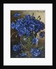 Bouquet of cornflowers, 1935 by Anonymous