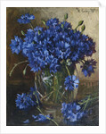 Bouquet of cornflowers, 1935 by Anonymous