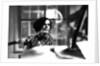 Joanne Brackeen by Brian O'Connor