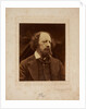 Alfred, Lord Tennyson, 1869 by Anonymous