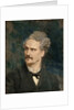 Portrait of Henri Rochefort, c. 1882 by Anonymous