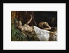 The Death of Cleopatra, ca 1878 by Anonymous