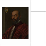 Ritratto di senatore di casa Michiel (Marino Michiel?) by Anonymous