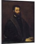 Portrait of Sperone Speroni by Anonymous