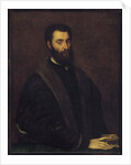 Portrait of Sperone Speroni by Anonymous