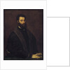 Portrait of Sperone Speroni by Anonymous