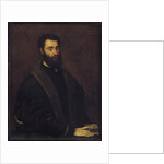 Portrait of Sperone Speroni by Anonymous