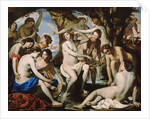 Diana bathing by Anonymous