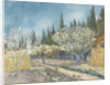 Orchard bordered by cypresses, 1888 by Anonymous