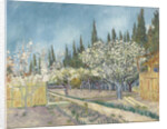 Orchard bordered by cypresses, 1888 by Anonymous