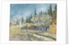 Orchard bordered by cypresses, 1888 by Anonymous