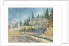 Orchard bordered by cypresses, 1888 by Anonymous