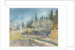 Orchard bordered by cypresses, 1888 by Anonymous
