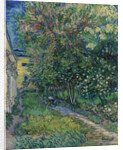 The garden at the asylum at Saint-Rémy, 1889 by Anonymous
