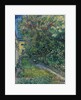 The garden at the asylum at Saint-Rémy, 1889 by Anonymous
