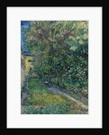 The garden at the asylum at Saint-Rémy, 1889 by Anonymous