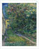 The garden at the asylum at Saint-Rémy, 1889 by Anonymous
