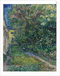 The garden at the asylum at Saint-Rémy, 1889 by Anonymous