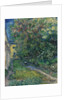 The garden at the asylum at Saint-Rémy, 1889 by Anonymous