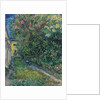 The garden at the asylum at Saint-Rémy, 1889 by Anonymous