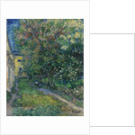 The garden at the asylum at Saint-Rémy, 1889 by Anonymous