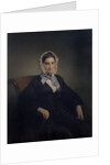 Portrait of Teresa Manzoni Stampa Borri, 1847-1849 by Anonymous