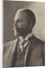 Portrait of Ernest Fenollosa, c. 1890 by Anonymous