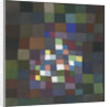 Flowering, 1934 by Anonymous