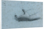Hand Study by Anonymous