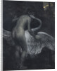 Leda and the Swan by Anonymous