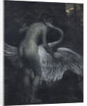 Leda and the Swan by Anonymous
