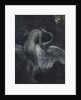 Leda and the Swan by Anonymous