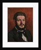 Portrait of Claude Antoine Charles Favre, 1877 by Anonymous
